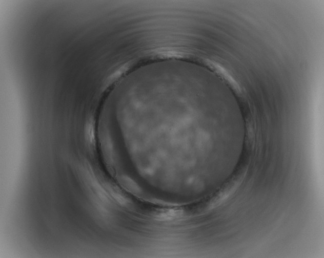 X0000115400398200911101516