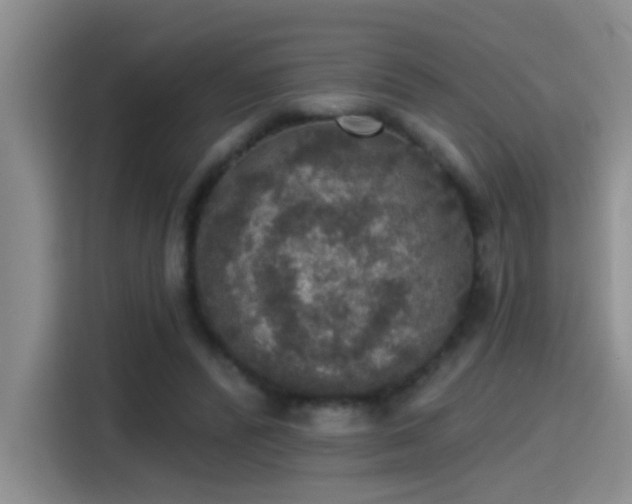 X0000115400400200911101516