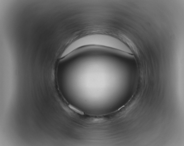 X0000115400401200911101516