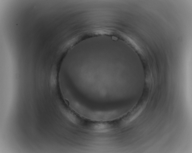 X0000115400402200911101516