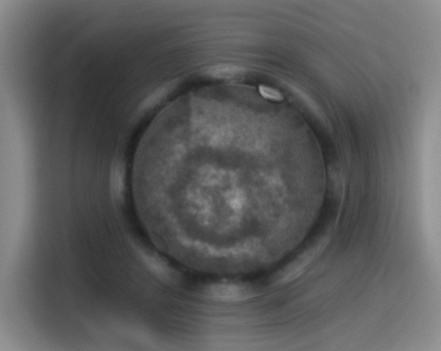 X0000115400404200911101516