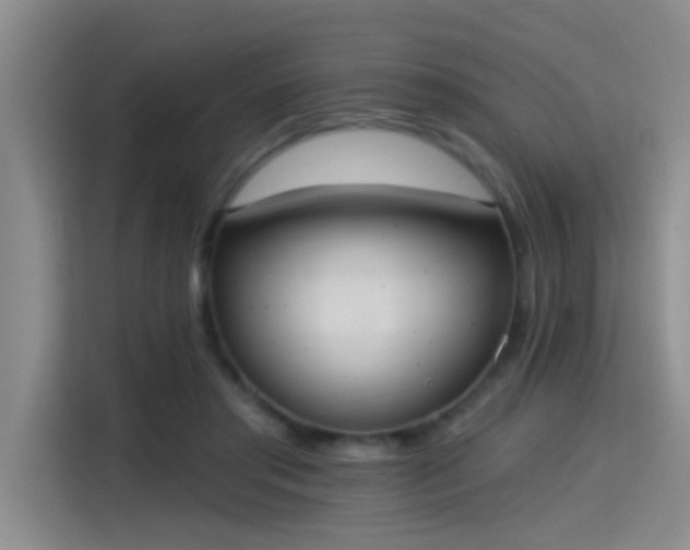 X0000115400405200911101516