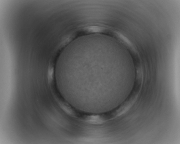 X0000115400406200911101516