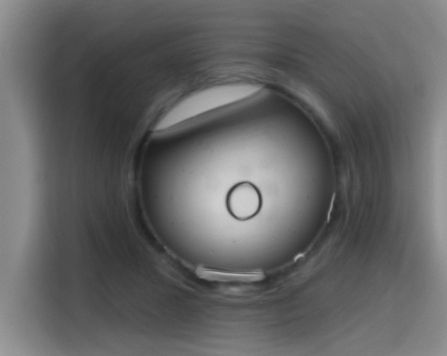 X0000115400407200911101516