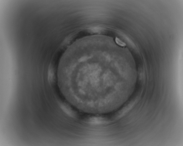 X0000115400408200911101516