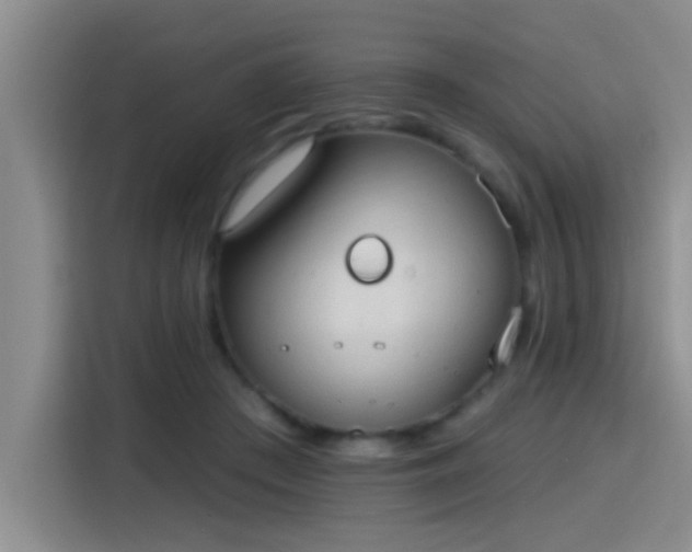 X0000115400409200911101516