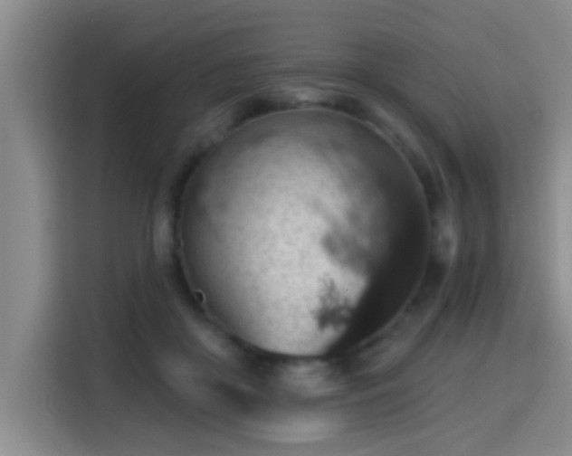 X0000115400410200911101516