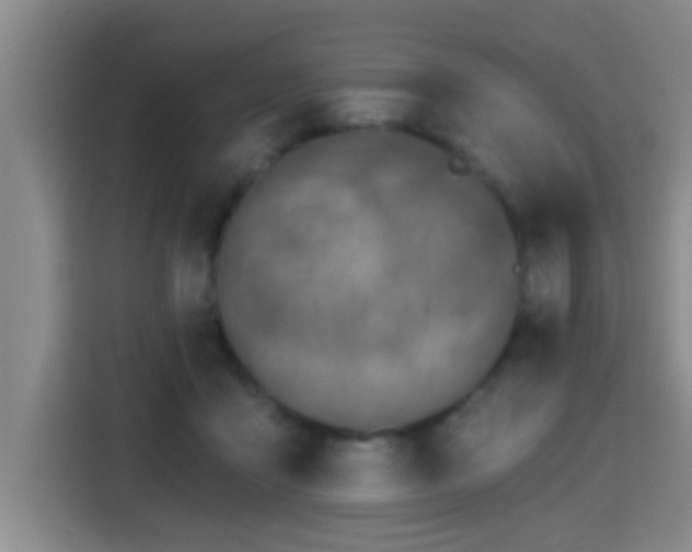 X0000115400411200911101516