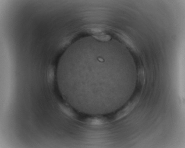 X0000115400412200911101516