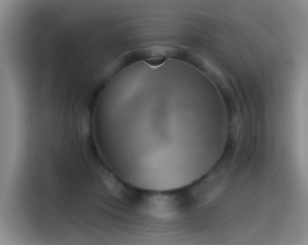 X0000115400413200911101516