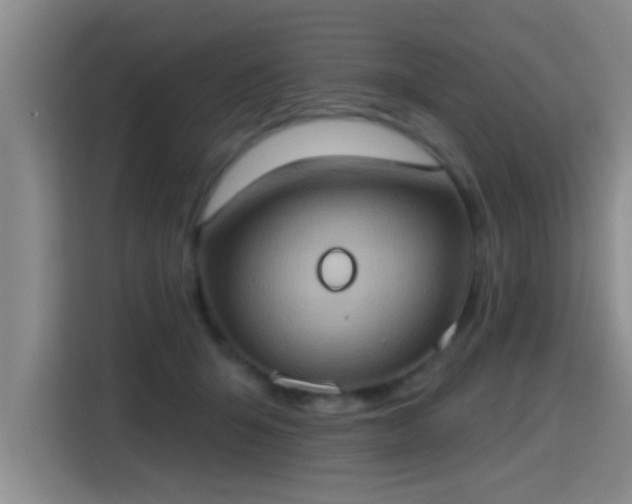 X0000115400415200911101516