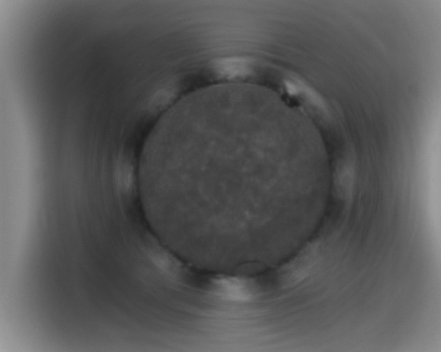 X0000115400417200911101516