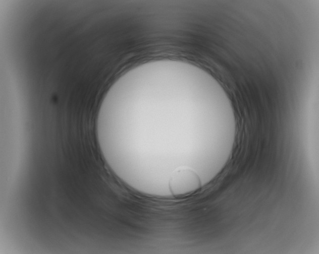 X0000115400421200911101516