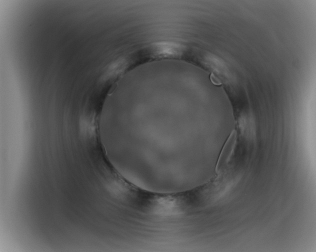 X0000115400423200911101516