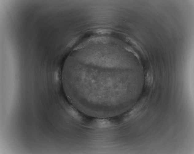 X0000115400424200911101516