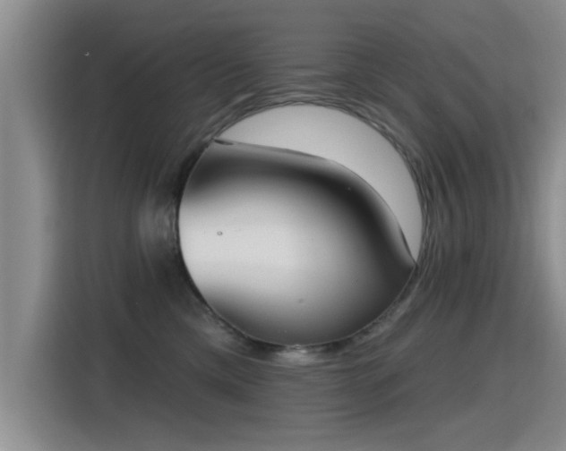 X0000115400425200911101516