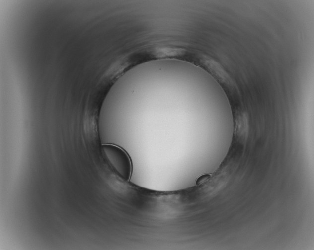 X0000115400426200911101516