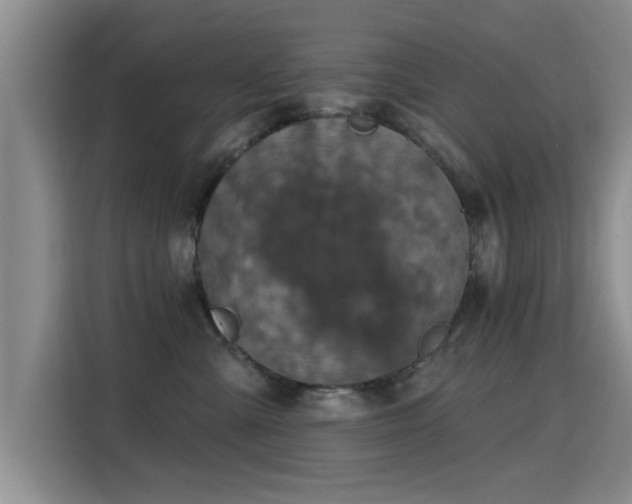 X0000115400427200911101516