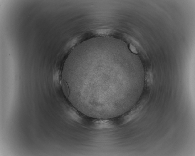 X0000115400428200911101516