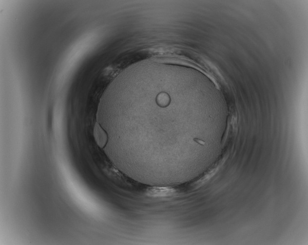 X0000115400429200911101516