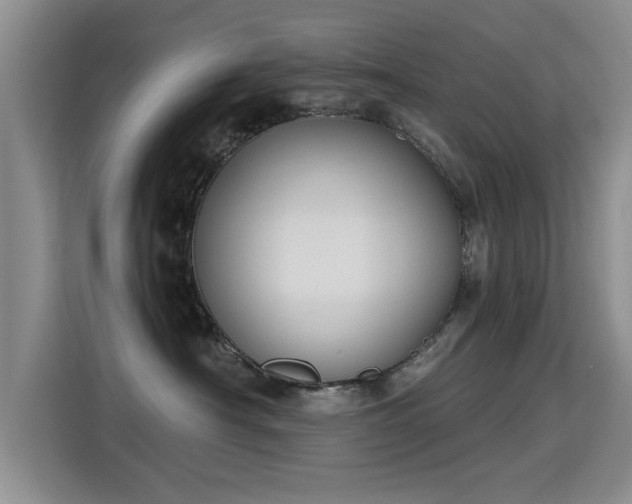 X0000115400430200911101516