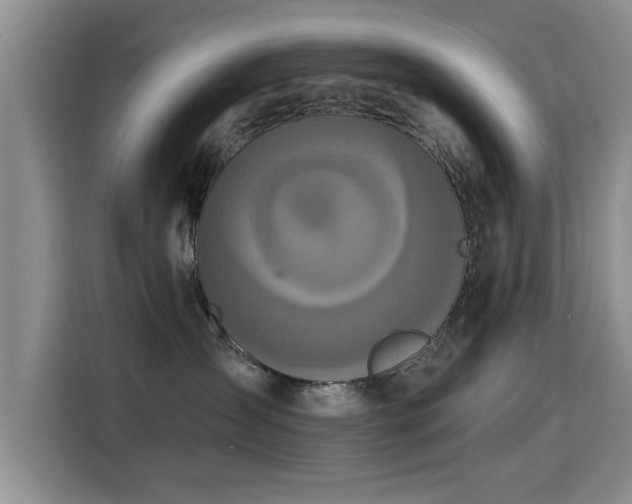 X0000115400431200911101516