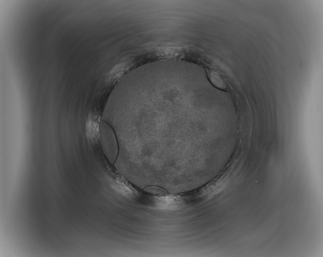 X0000115400432200911101516