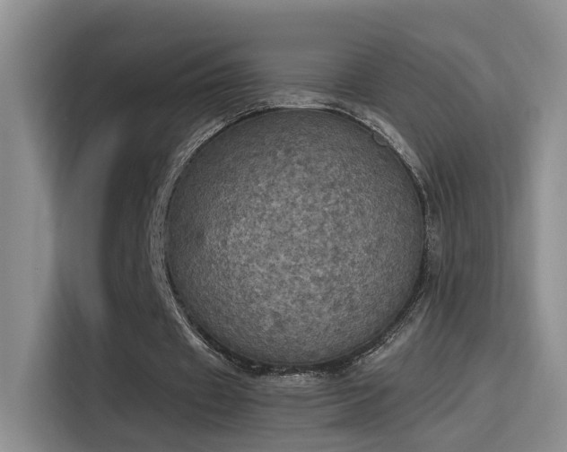 X0000115400433200911101515