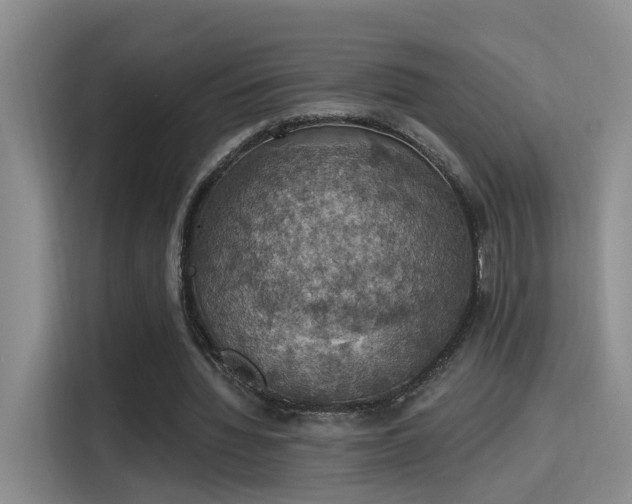 X0000115400436200911101515