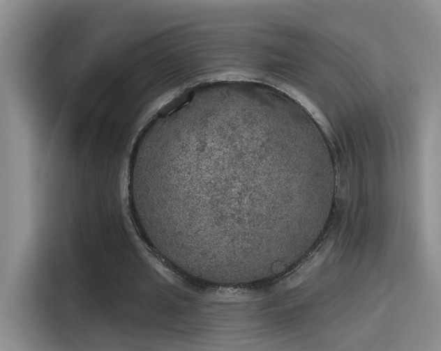 X0000115400437200911101515