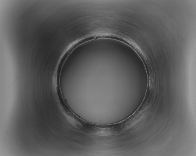 X0000115400438200911101515