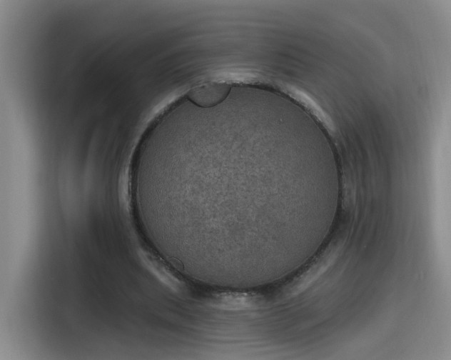 X0000115400439200911101515