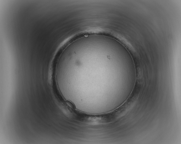 X0000115400440200911101515