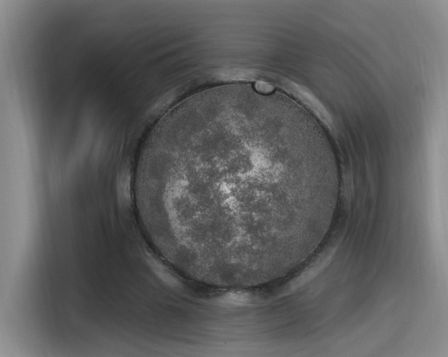 X0000115400441200911101515