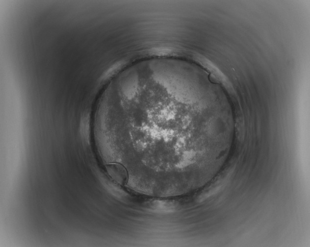 X0000115400442200911101515