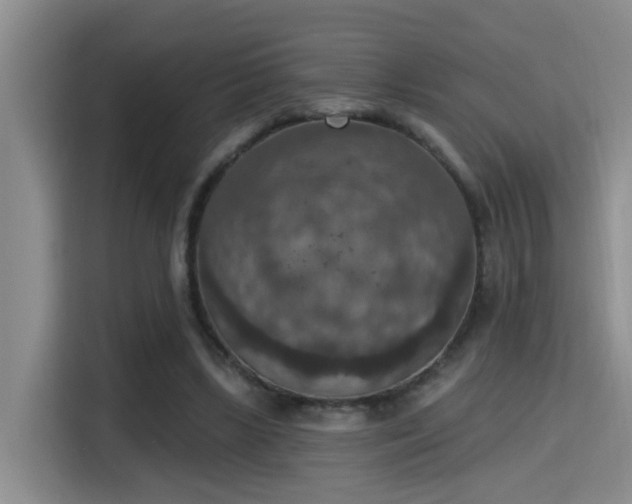 X0000115400443200911101515