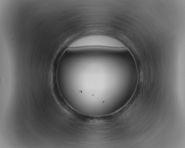 X0000115400444200911101515