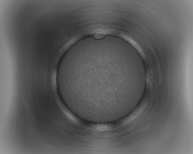 X0000115400445200911101515