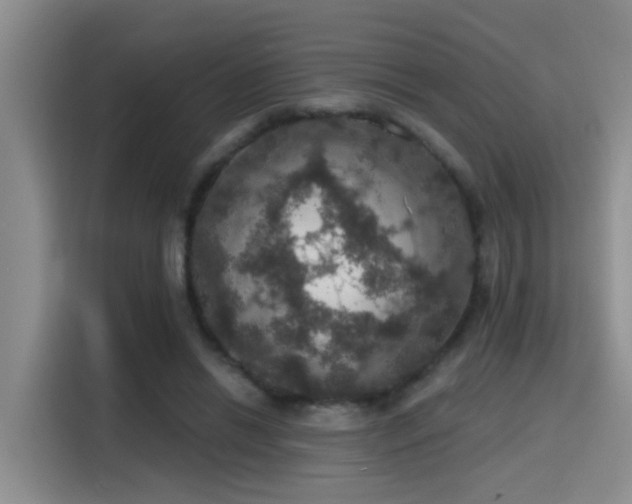 X0000115400446200911101515