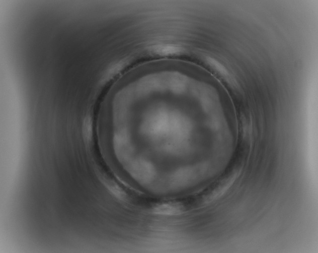 X0000115400447200911101515