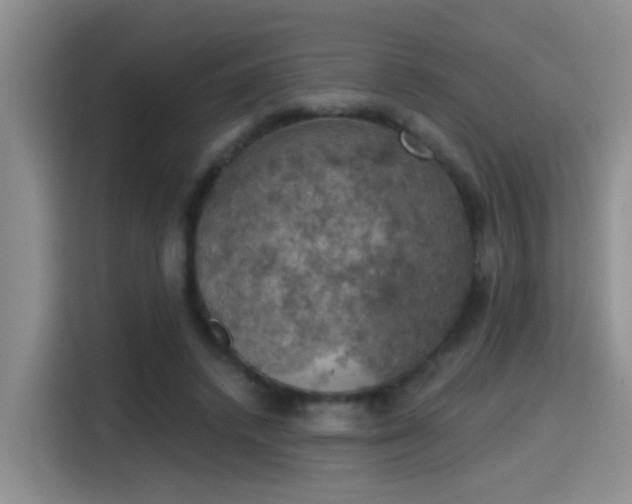 X0000115400448200911101515