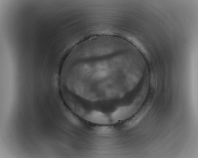X0000115400449200911101515