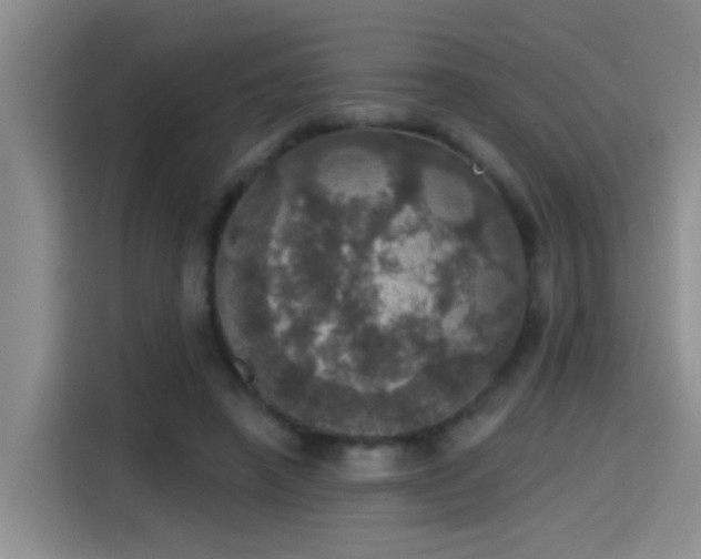 X0000115400450200911101515