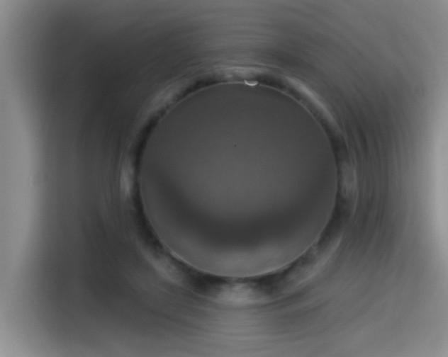 X0000115400451200911101515