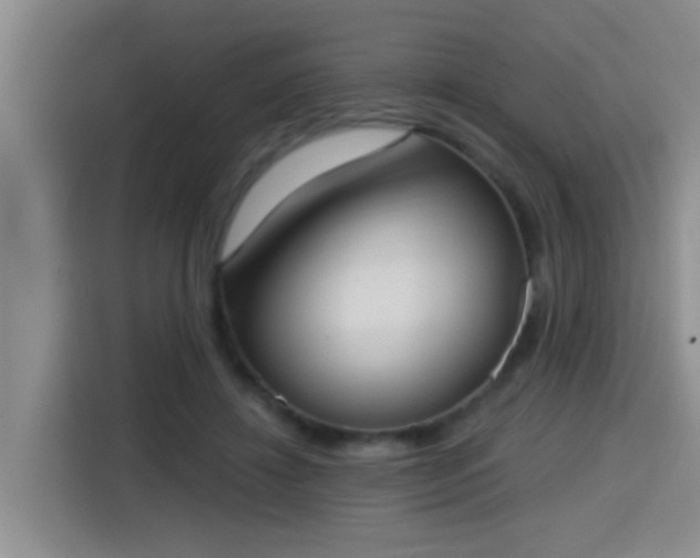 X0000115400452200911101515