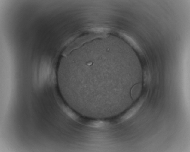 X0000115400453200911101515