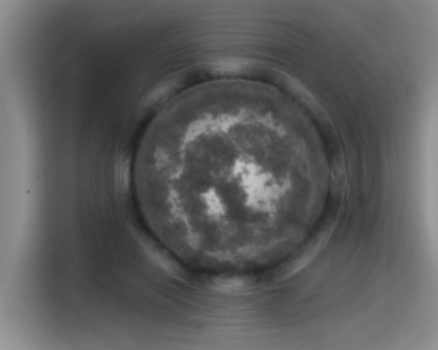 X0000115400454200911101515