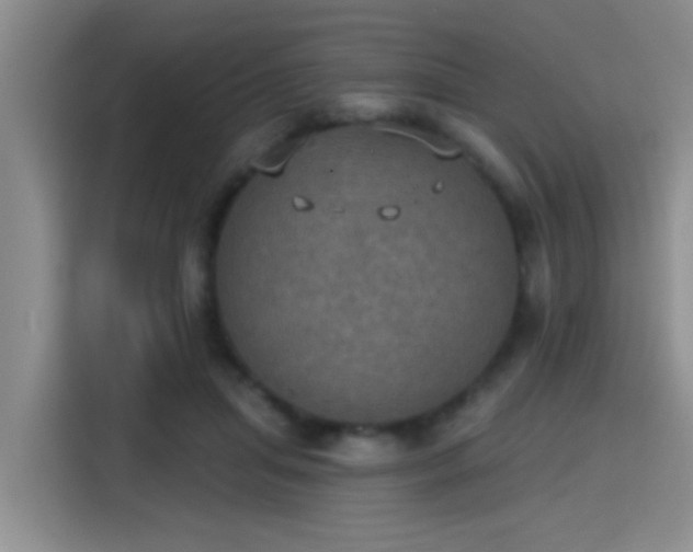 X0000115400455200911101515