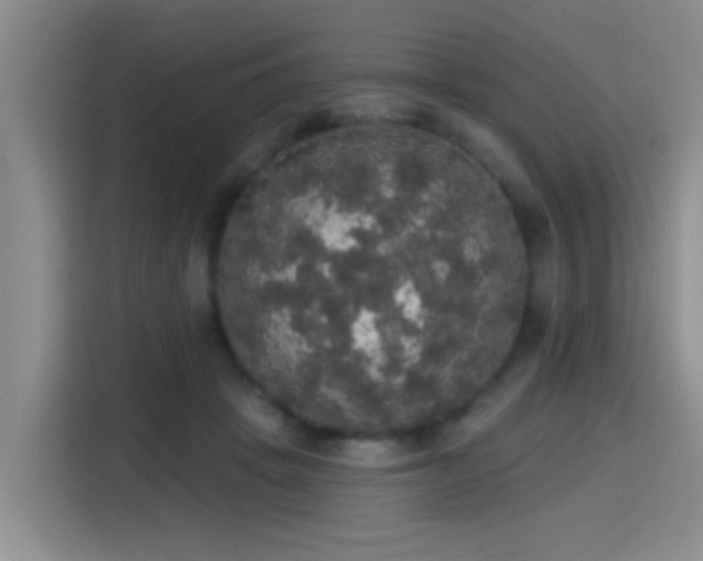 X0000115400457200911101516