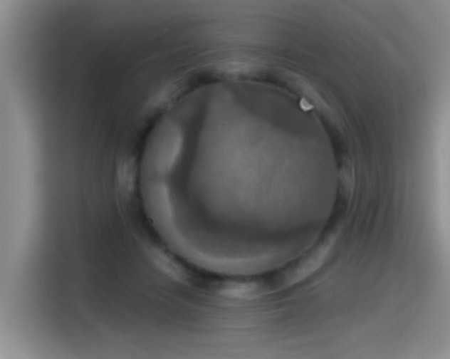 X0000115400458200911101516